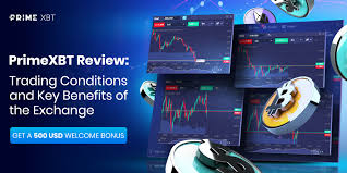 Maximize Your Earnings with PrimeXBT Copy Trading Maximize Your Earnings with PrimeXBT Copy Trading